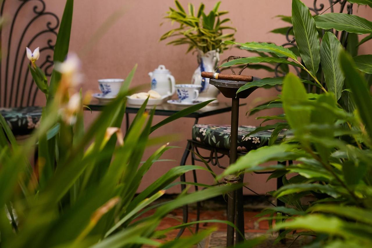 Hotel Boutique Quinta Das Videiras Florianópolis Εξωτερικό φωτογραφία