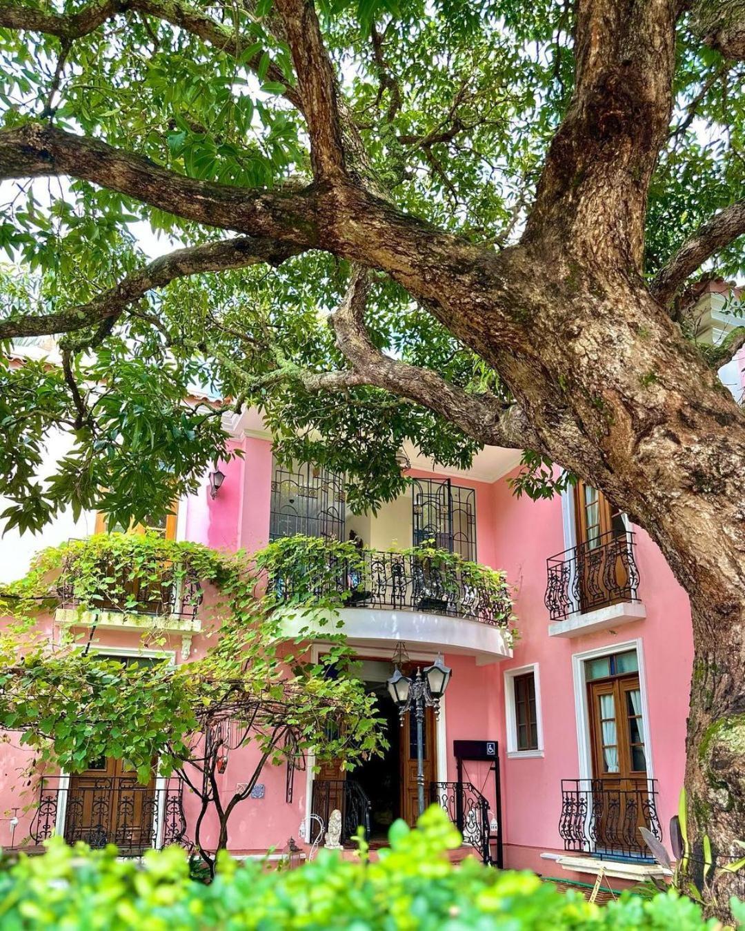 Hotel Boutique Quinta Das Videiras Florianópolis Εξωτερικό φωτογραφία